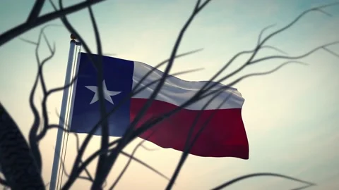 Texas flag waving in the lone star state - video animation Stock Footage 130313112
