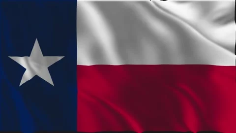 Texas flag waving slowly Stock Footage 342624663