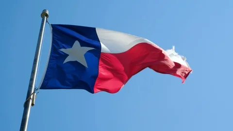 Texas flag waving in the wind against blue sky Video stock 119135025