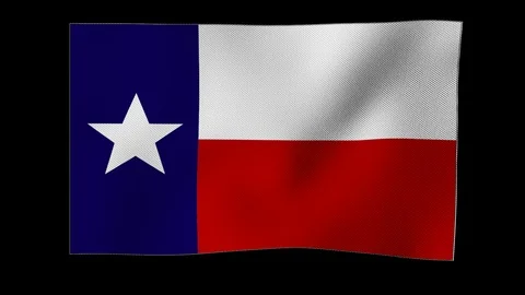 Texas flag waving in wind on alpha channel Vidéo 88458131