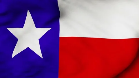 The Texas flag waving in the wind Stock Footage 80824882