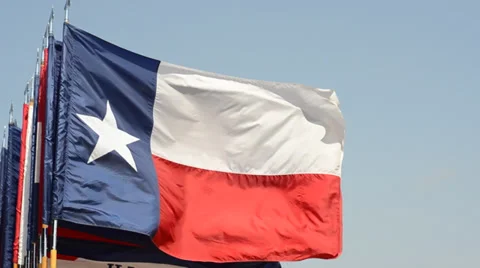 Texas Flag in wind Stock Footage 36677164