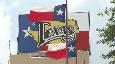 Texas flags 스톡 동영상 537959