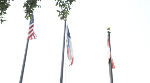 Texas Flags 스톡 동영상 25721233