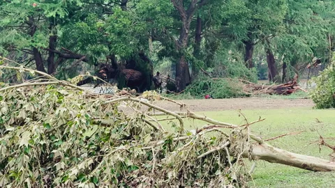 Texas Flood Aftermath: Game Warden &amp; Crew Clean Up, Kerrville, TX. July 2025 Stock Footage 312692021