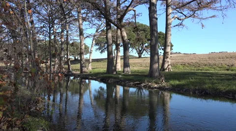 Texas Hill Country stream with trees on bank and dead leaves Stock Footage