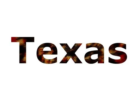 Texas Stock Illustration