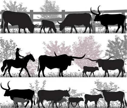 Texas longhorn cattle Illustrazione stock