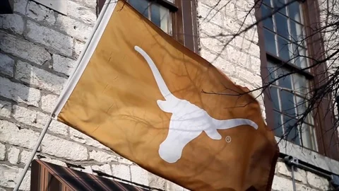 Texas Longhorns Flag Video stock 81923475