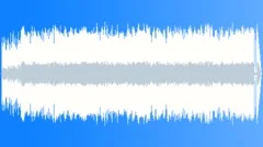 Texas Louisiana Line (washboard mix) southern accordion rockStock Music