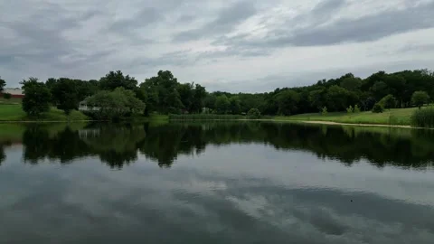 Texas Pond 스톡 동영상 245038399