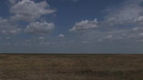 Texas prairie Stock Footage 20586847