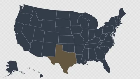 Texas Pulsing on US Election Map State Animation Seamless Loop Alpha Channel 4K Vidéo 341308280