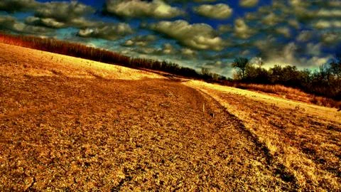 Texas Riverbed Stock Photos
