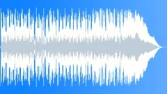 Texas Roadhouse boogie Blues 20 sec edit Stock Music