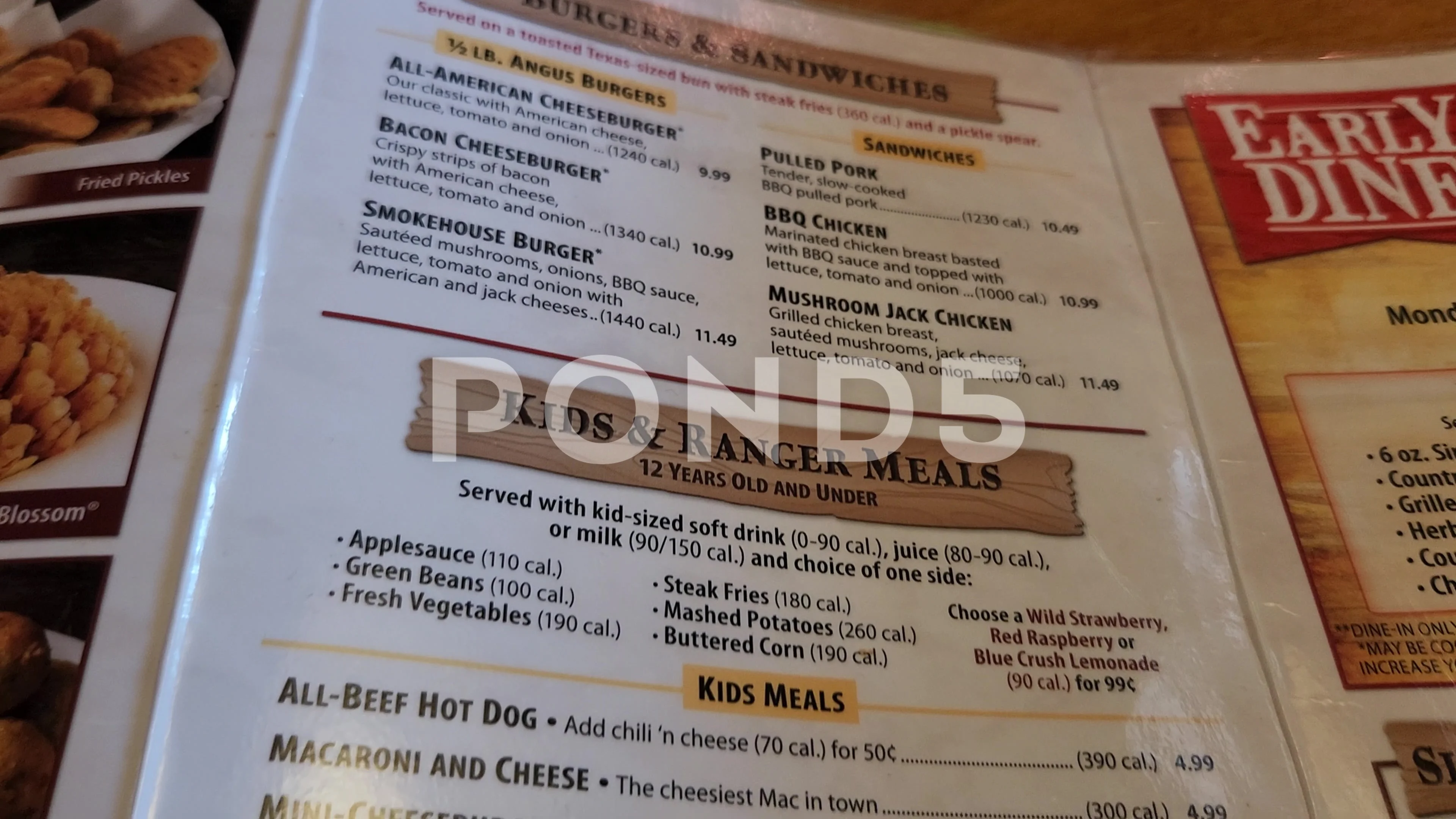 Texas Roadhouse Restaurant Menu Closeup Meal Dinner