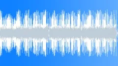 Texas Rock (Upbeat, Bluesy) Stock Music