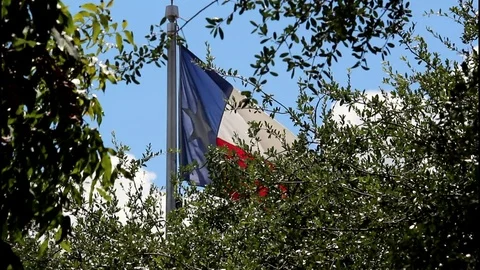 Texas State Flag Alamo Grounds 7759 스톡 동영상 83219613