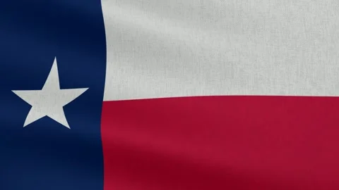 Texas State Flag, Cotton Fabric Stock Footage 299081189
