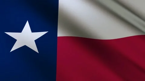 Texas State Flag Stock Footage 276105575