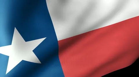 Texas State Flag Waving Video stock 11971669