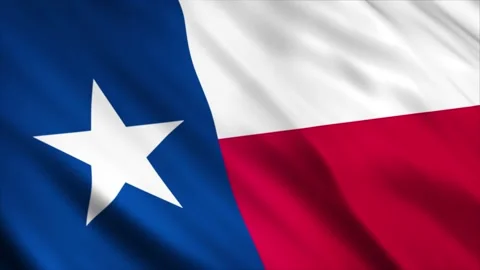 Texas State Flag waving in the wind Stock Footage 236435122
