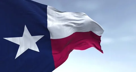 Texas state flag waving in the wind Stock Footage 267213009