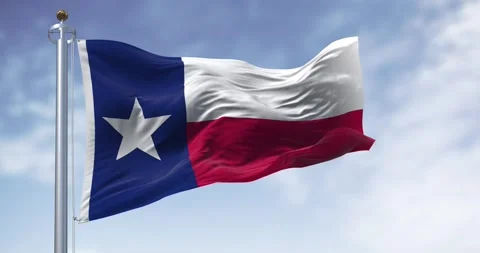 Texas state flag waving in the wind Stock Footage 273817633