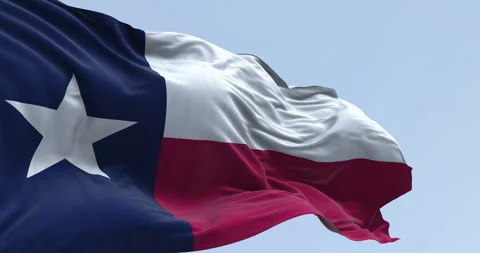 Texas state flag waving in the wind Stock Footage 333189355