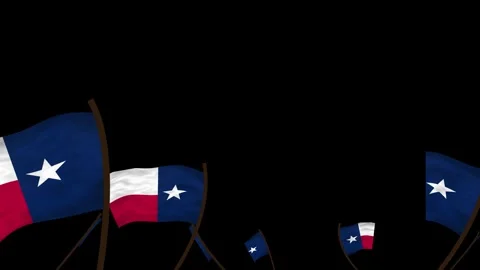 Texas State Flags Waving Crowd. Realistic 4K 60fps Seamless Loop Stock Footage 338406106