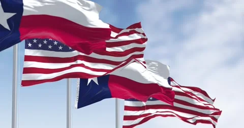 Texas state flags waving in the wind with american flags Stock-Footage 263938062