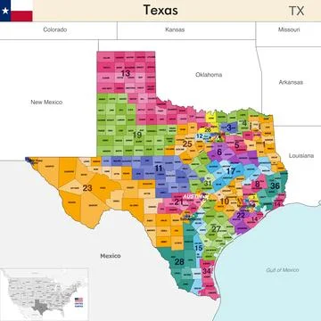 Texas state map with counties borders and congressional districts Illustrazione stock