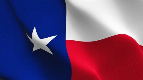 Texas US State flag loop waving on wind. 스톡 동영상 119261875