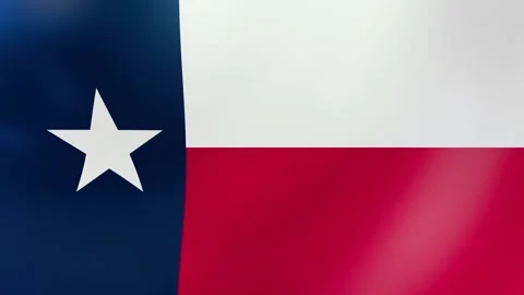 Texas Waving flag Stock Footage 303032270
