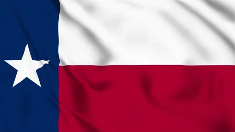 Texas Waving flag, State of Texas Waving flag, Texas Flag in the Wind Stock Footage 301448830