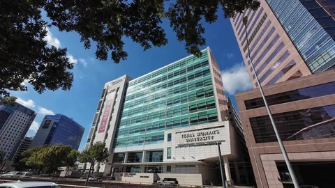 Texas Womans University - Pan Down Stock-Footage 323396580