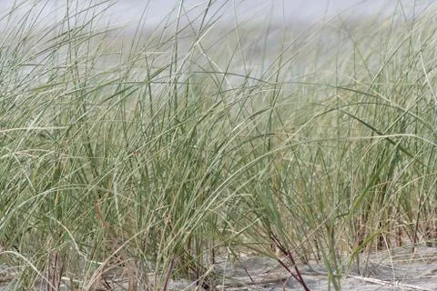 Texel  beach Stock-Fotos