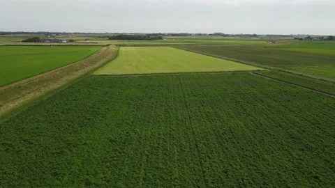 Texel Den Hoorn Den Burg Drone footage -  Netherlands Stock Footage
