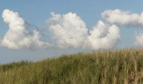 Texel - Dune Foto stock