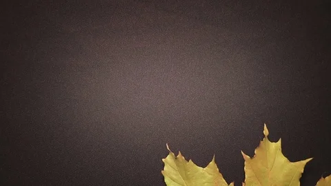 For text and notes. Beautiful autumn video. Berries, colorful leaves.  Stock Footage 80072762