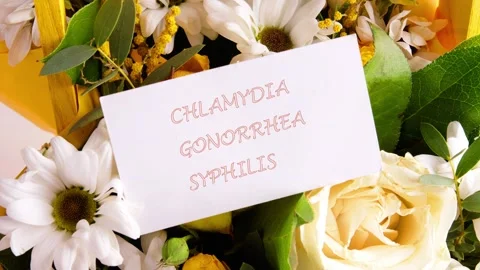 Text animation CHLAMYDIA GONORRHEA SYPHILIS, Explore the joy of holidays filled Stock Footage 296623658