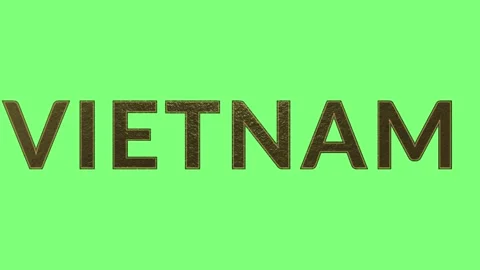 Text animation displaying the word vietnam with metallic textured letters Stock Footage 346122355