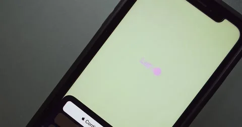 Text animation of the official ChatGPT app seen in an iPhone screen Stock Footage 242727982
