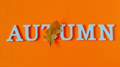 Text Autumn from white letters and falling yellow leaf Stock Footage 112156672