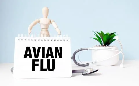 The text AVIAN FLU is written on notepad and wood man toy near a stethoscop.. Stock Photos