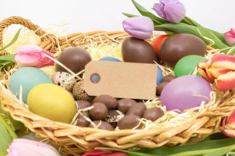Text box surrounded by chocolate Easter eggs, quail egg and painted chicken eggs Stock Photos