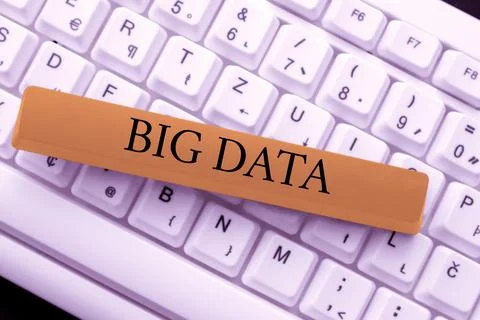 Text caption presenting Big Data. Business idea sets that so complex that 库存照片
