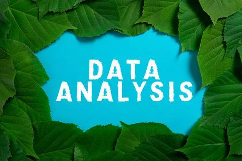 Text caption presenting Data Analysis. Business overview Translate numbers to Stock Photos