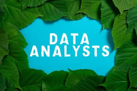 Text caption presenting Data Analysts. Word for Programmer Design and Create Stock Photos