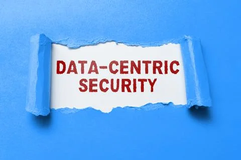 Text caption presenting Data Centric Security. Business overview involves the Stockfoto's
